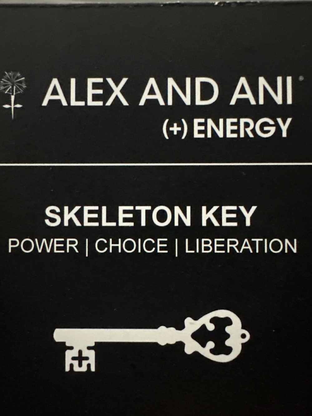 ALEX AND ANI BRACELET